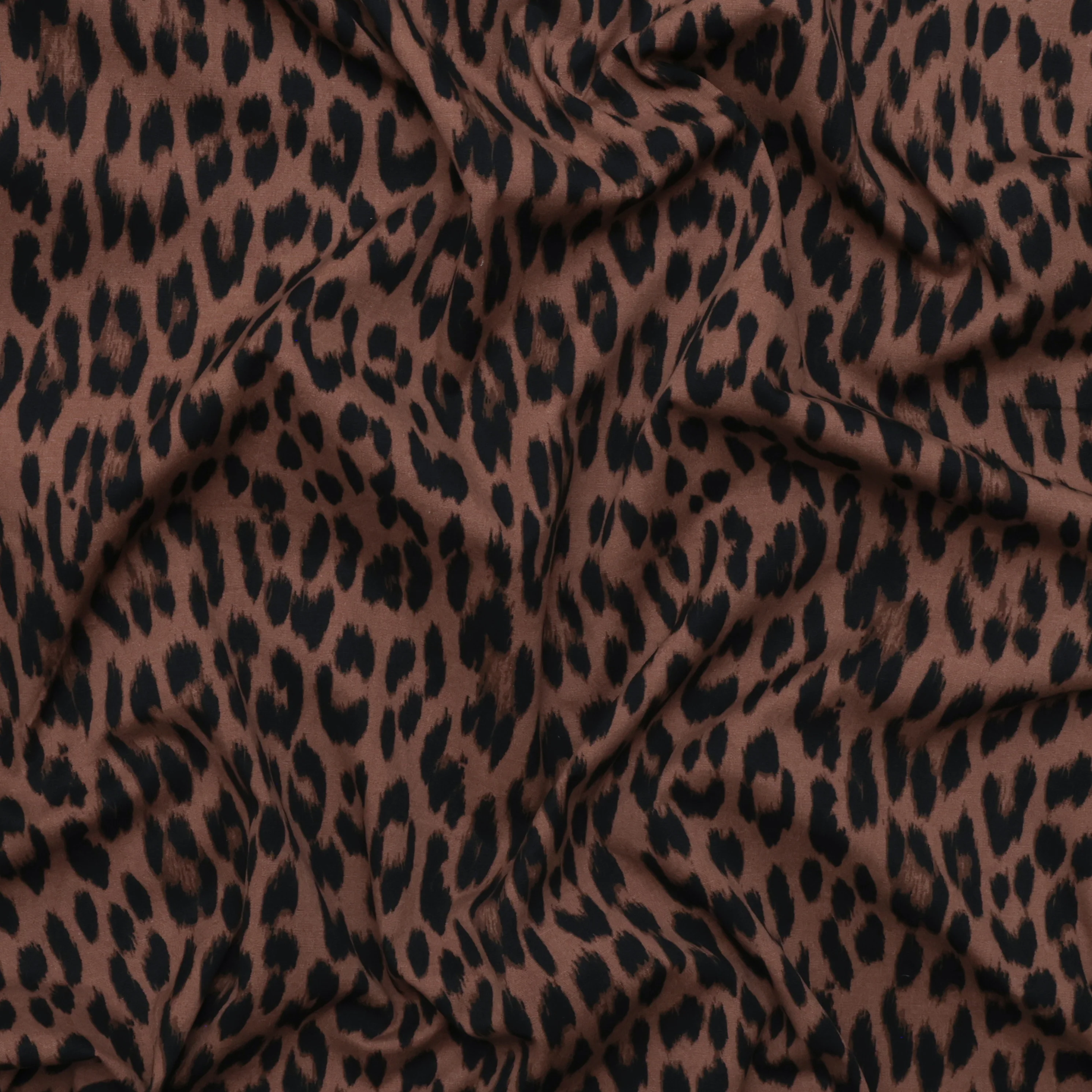 Organic Cotton - Charlie Print - Mocha
